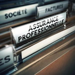 Assurance professionnelle
